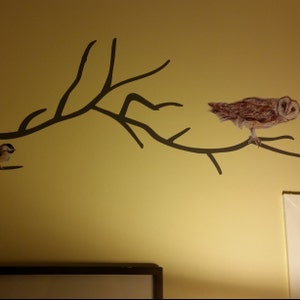 Schildkröte Illustration Zeichnung Schildkröte Schildkröte | Etsy