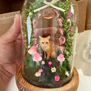 Katie さんが購入した商品の写真を追加しました