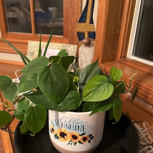 Laurie added a photo of their purchase