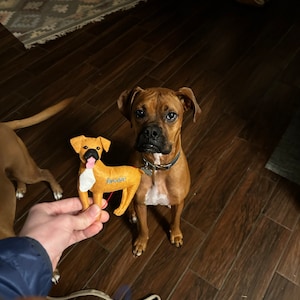 Custom Dog Ornament, Personalized Dog Ornament, Felt Dog Ornament, Dog Christmas Ornament, Dog Christmas Gift, Dog Memorial Ornament