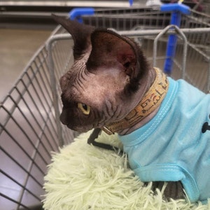 Kerrianne added a photo of their purchase