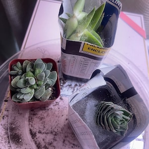 Maria ha añadido una foto de su compra