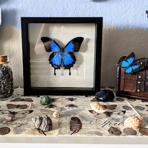 Paula ha añadido una foto de su compra