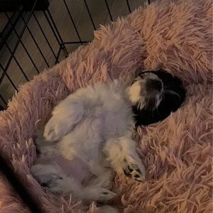 Mindy ha añadido una foto de su compra
