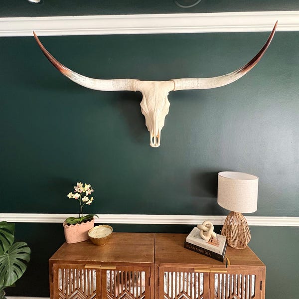 Longhorn Cow Skull | Repurposed Art | Heirloom Western Decor 697 - Etsy