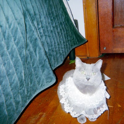 Japanese Style Dog Cat Collar Removable Pet Collar Accessories Wedding