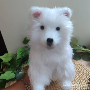 samoyed  Heart Warming Knit  グレー Dog Owner Knits Her Samoyeds' Fur Into Soft Hats and Scarves