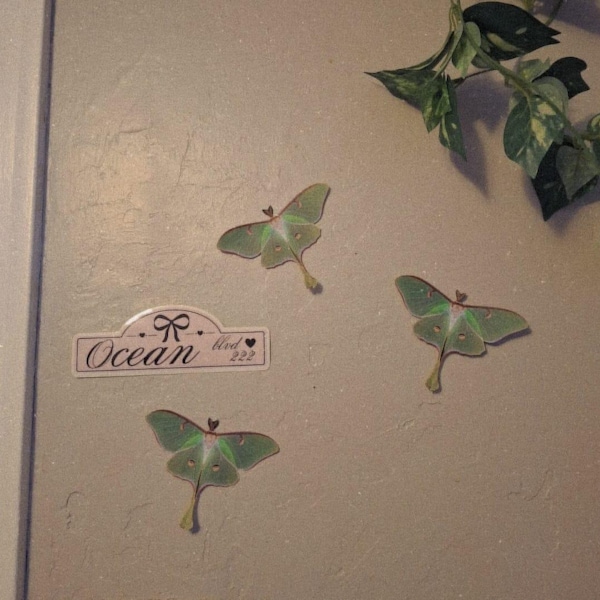 ONE Large Monarch Butterfly Migration Stickers - Wall Art Decor -for ...