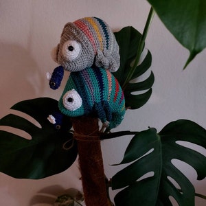 Crochet Kit . Chameleon Conrad . Musical Toy – Lalylala Amigurumi