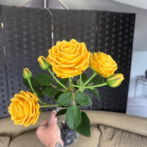 Brandi added a photo of their purchase