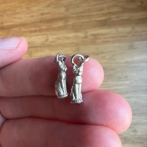 Lindsay added a photo of their purchase