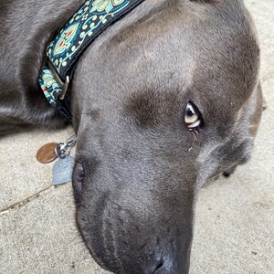 hound haberdashery etsy