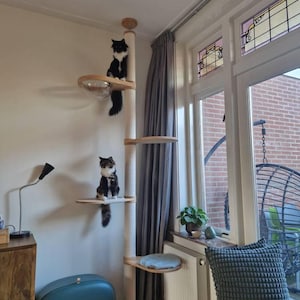Marieke added a photo of their purchase
