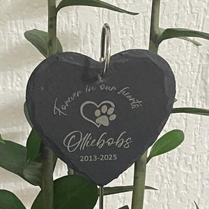 Jody added a photo of their purchase