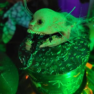 Bryce added a photo of their purchase