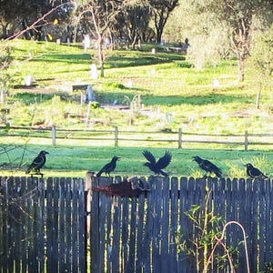 GAJ dodał(a) zdjęcie swoich zakupów