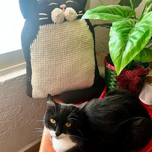 ALEJANDRA added a photo of their purchase