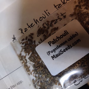 K added a photo of their purchase