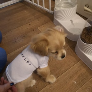 Danica added a photo of their purchase