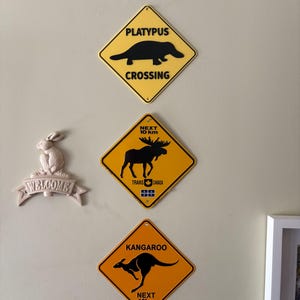 Lynne added a photo of their purchase
