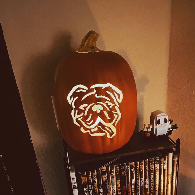 printable-pumpkin-carving-pattern-english-bulldog-etsy