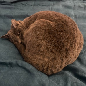 Ember ha añadido una foto de su compra