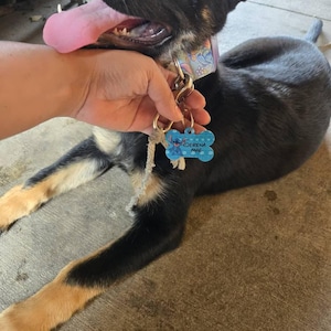 Cheyanna added a photo of their purchase