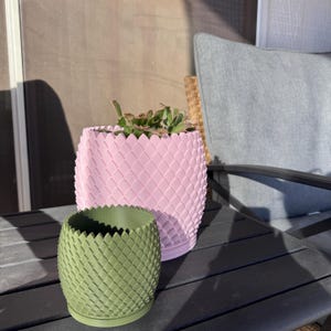 Tarryn ha añadido una foto de su compra