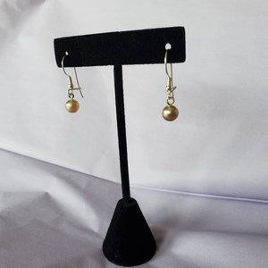 Serdokntbig Sterling Silver Fish Hook Earrings Earwires w/Coil