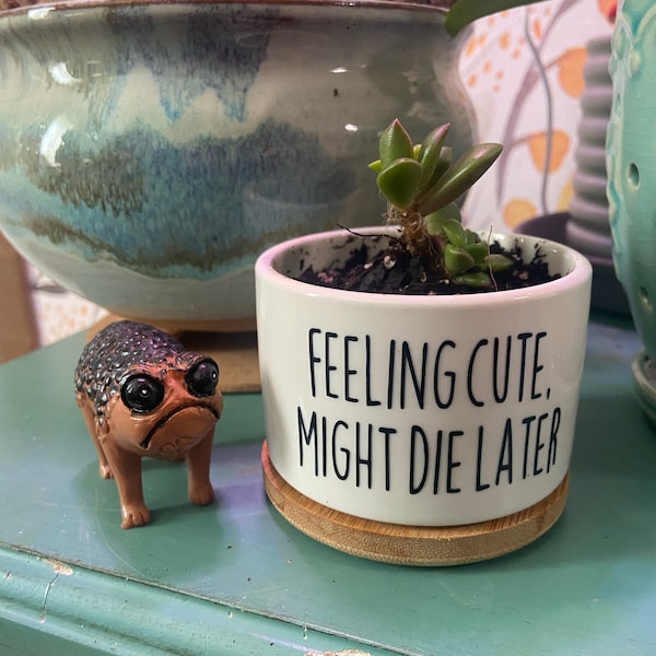 Funny Succulent Pot - Cactus Pot - Small Planter With Drainage ...