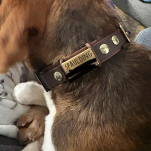 Amy added a photo of their purchase