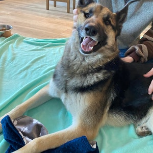 Devon heeft een foto van de aankoop toegevoegd