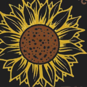 Shelbie ha añadido una foto de su compra