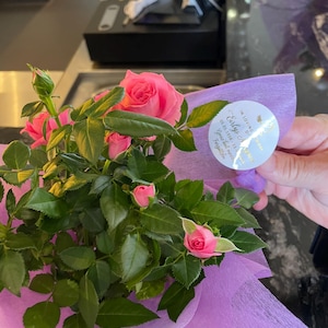 eirian added a photo of their purchase