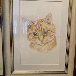 Robyn added a photo of their purchase
