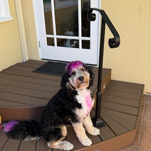T added a photo of their purchase