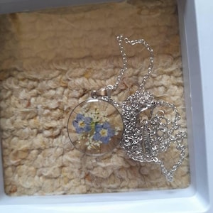 Anne added a photo of their purchase