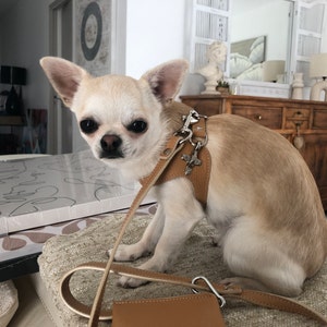 Elise added a photo of their purchase