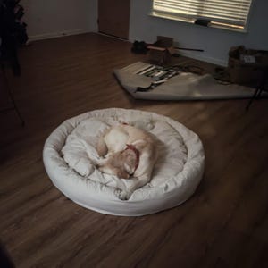 Comprador de Etsy ha añadido una foto de su compra
