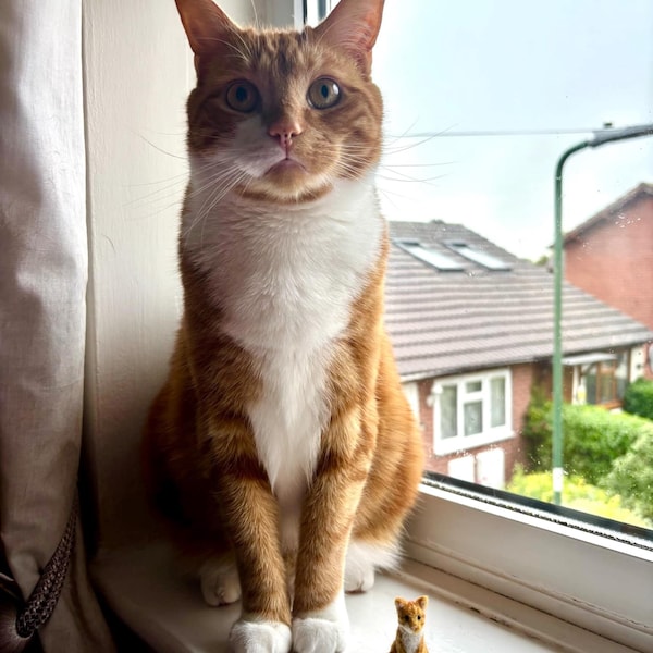 Felted Snail - Handmade Needle Felted Realistic Snail, Real Shell ...