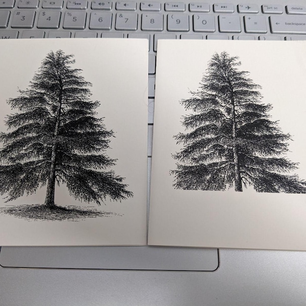 Pine Tree Note Card Set of 10 in White or Light Ivory With Matching ...