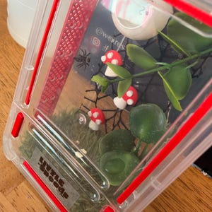 Stephanie added a photo of their purchase