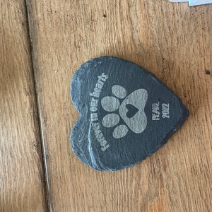 L added a photo of their purchase