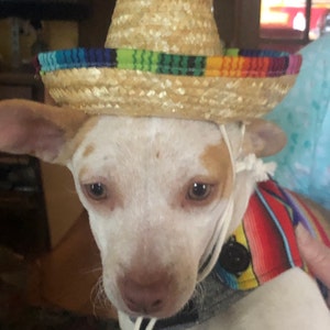 Josette added a photo of their purchase