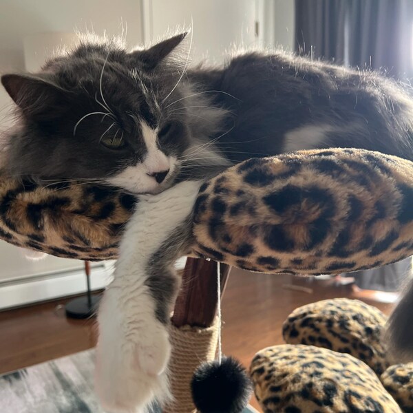 Leopard Cat Tree, Modern Cat Tree, Daisy Cat Gift, Cat Bed Tower, Cat ...