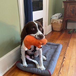 Connie added a photo of their purchase
