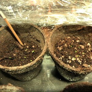 Jessica ha añadido una foto de su compra