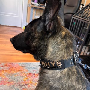 Jaki added a photo of their purchase