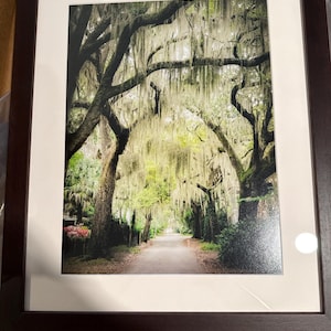 Sarah added a photo of their purchase