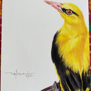 Brinda ha añadido una foto de su compra